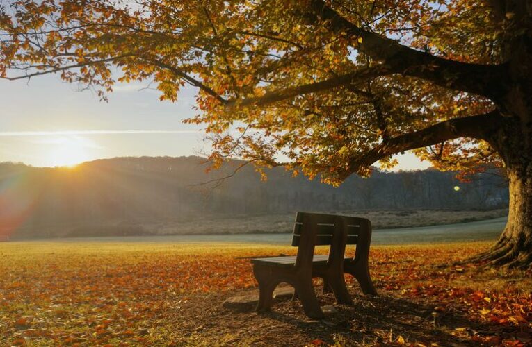 Mindful Breaks You Can Take in Just Five Minutes